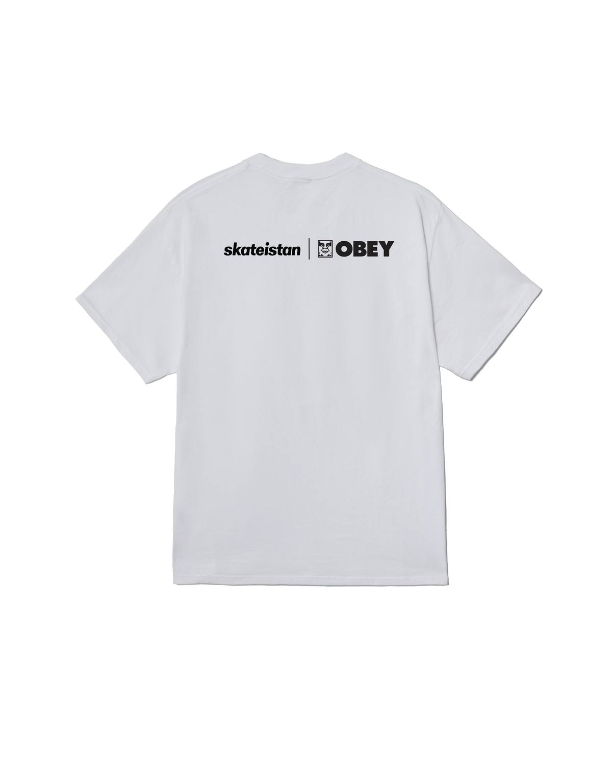 SKATEISTAN / PHOTO CLASSIC T-SHIRT